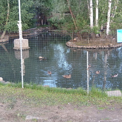 Московская область